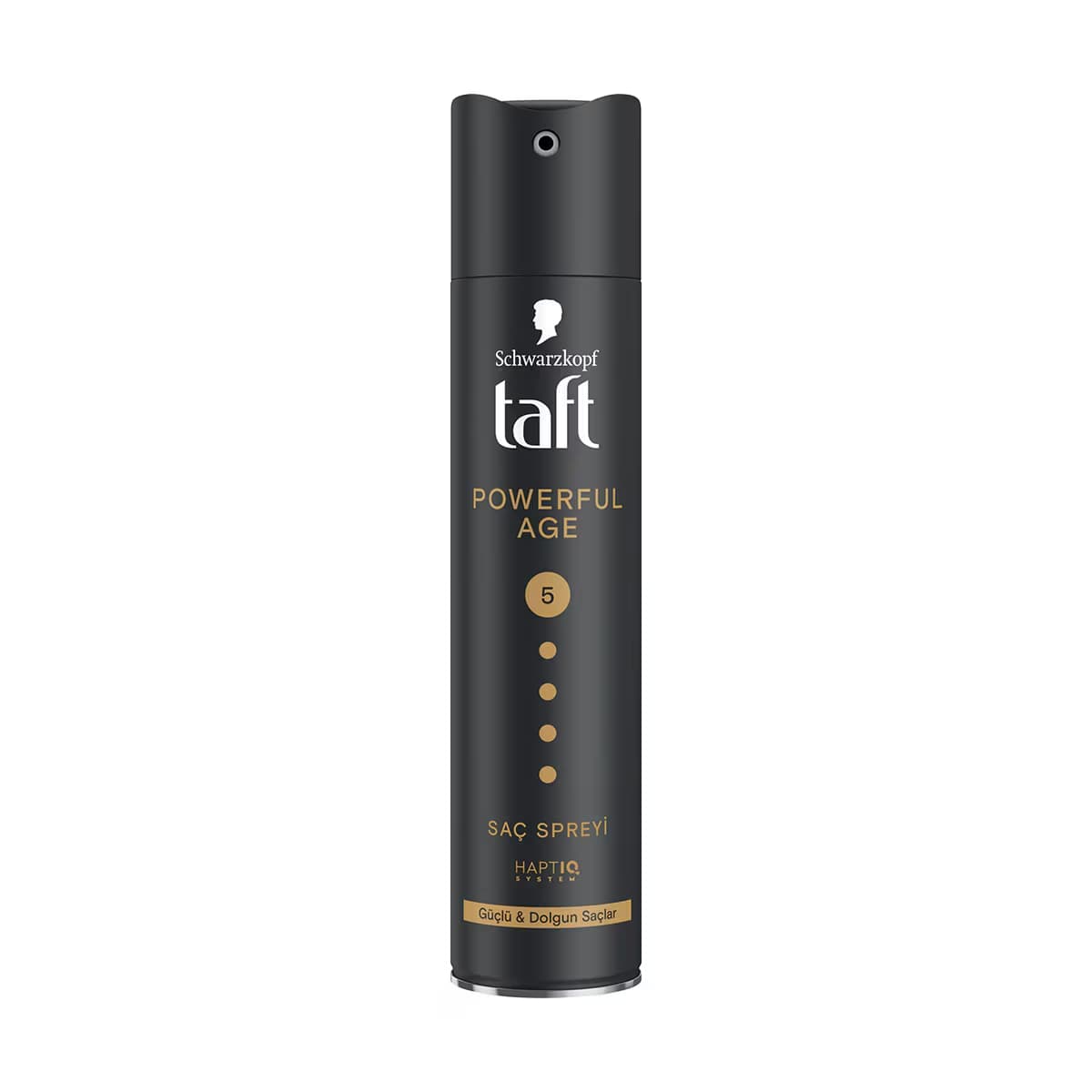 Taft Powerful Age Sprey 250 ml