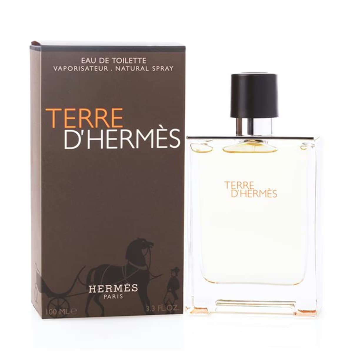 Hermes Terre Erkek Parfüm EDT 100 ml