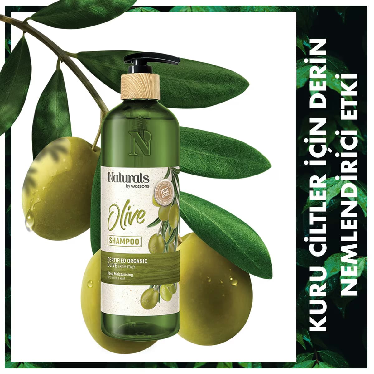 Naturals By Watsons Şampuan Olive 490 ml