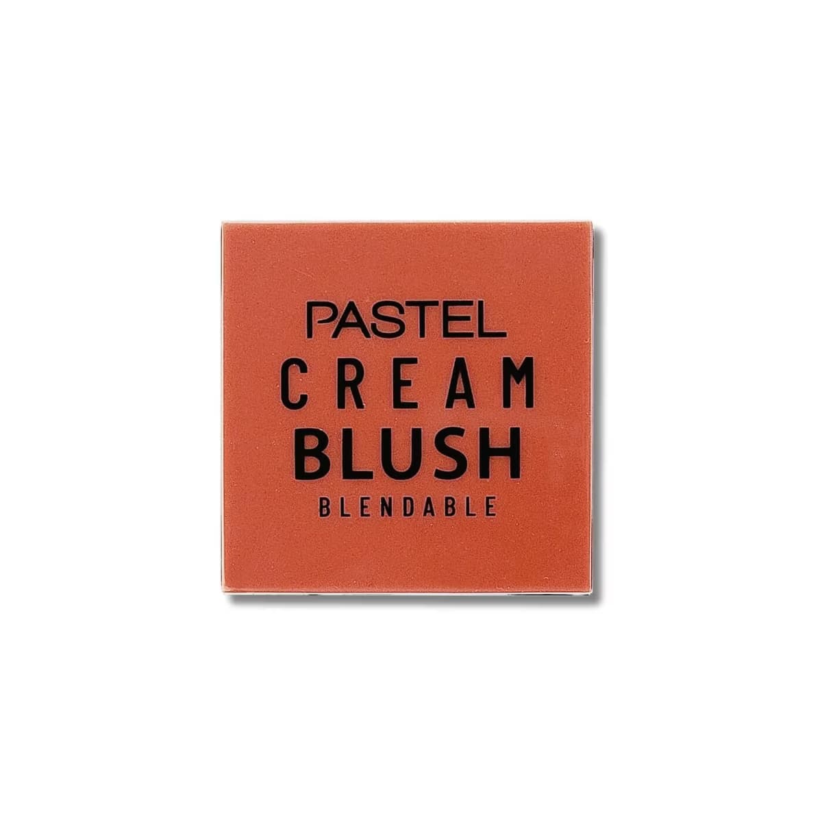 Pastel Profashion Cream Brush Allık No:46