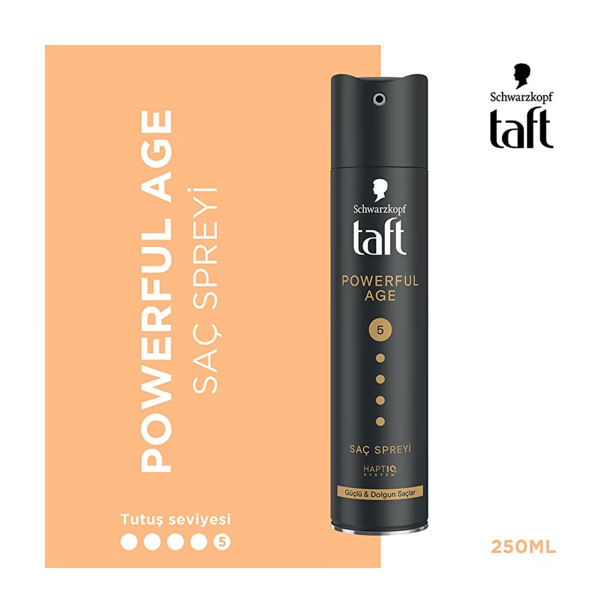 Taft Powerful Age Saç Spreyi 250 ml - Gratis